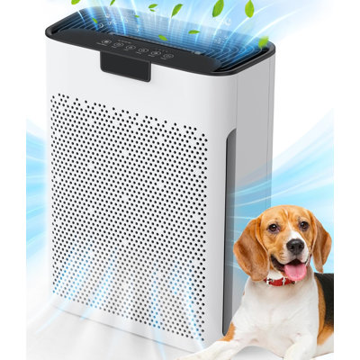 Air Purifiers You'll Love | Wayfair Air Purifiers You'll Love | Wayfair